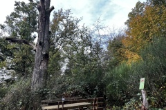 Wanderung_20241013_00044