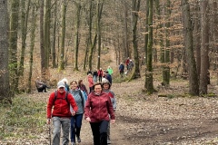Wanderung_20250330_00016