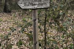 Wanderung_20250330_00020