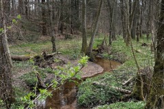 Wanderung_20250330_00028