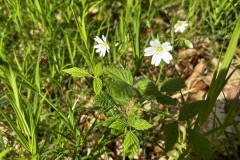 Wanderung_20250425_00005