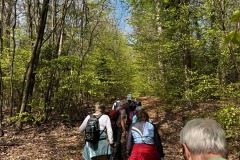 Wanderung_20250425_00007