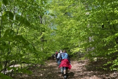 Wanderung_20250425_00008