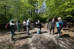 Wanderung_20250425_00009