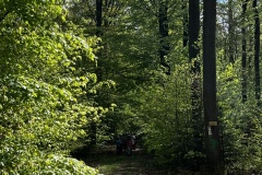 Wanderung_20250425_00010