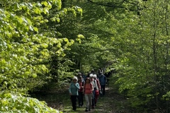 Wanderung_20250425_00011