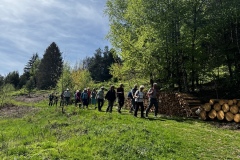 Wanderung_20250425_00020