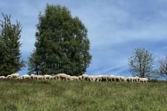 Wanderung_20250425_00021
