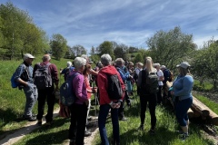 Wanderung_20250425_00024