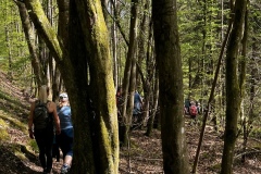 Wanderung_20250425_00026
