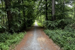 Wanderung_20250518_00005