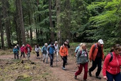 Wanderung_20250518_00012