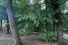 Wanderung_20250518_00014