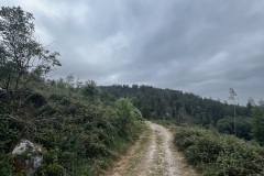 Wanderung_20250518_00016