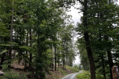 Wanderung_20250518_00017