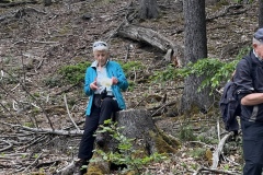 Wanderung_20250518_00018