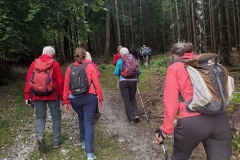 Wanderung_20250518_00021