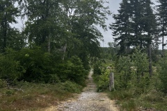 Wanderung_20250518_00027