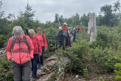 Wanderung_20250518_00030