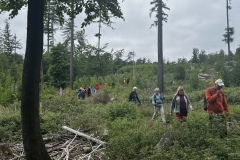 Wanderung_20250518_00031