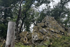 Wanderung_20250518_00032