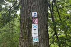 Wanderung_20250518_00033