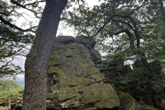 Wanderung_20250518_00035