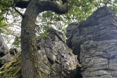 Wanderung_20250518_00036