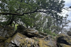 Wanderung_20250518_00037