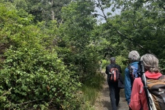 Wanderung_20250518_00038