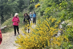 Wanderung_20250518_00039