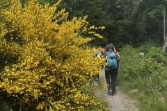 Wanderung_20250518_00040