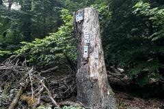 Wanderung_20250518_00041