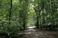 Wanderung_20250518_00044