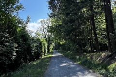 Wanderung_20250518_00047