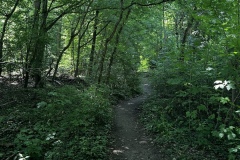 1_Wanderung_20250629_00005