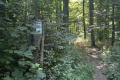 1_Wanderung_20250629_00006