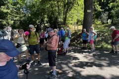 1_Wanderung_20250629_00013