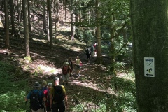 1_Wanderung_20250629_00015