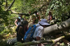 1_Wanderung_20250629_00016