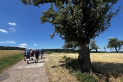 1_Wanderung_20250629_00018