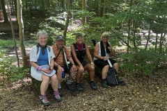 1_Wanderung_20250629_00022