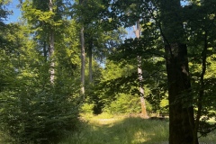 1_Wanderung_20250629_00023