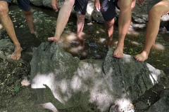 1_Wanderung_20250629_00026