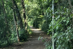 1_Wanderung_20250629_00030
