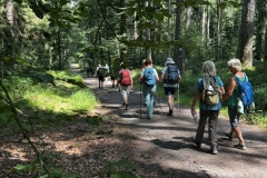 Wanderung_20250720_00006