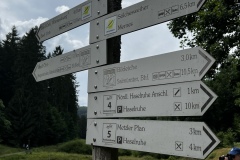 Wanderung_20250720_00008