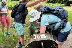 Wanderung_20250720_00011