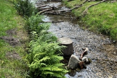 Wanderung_20250720_00016