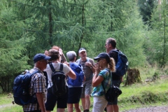 Wanderung_20250720_00028